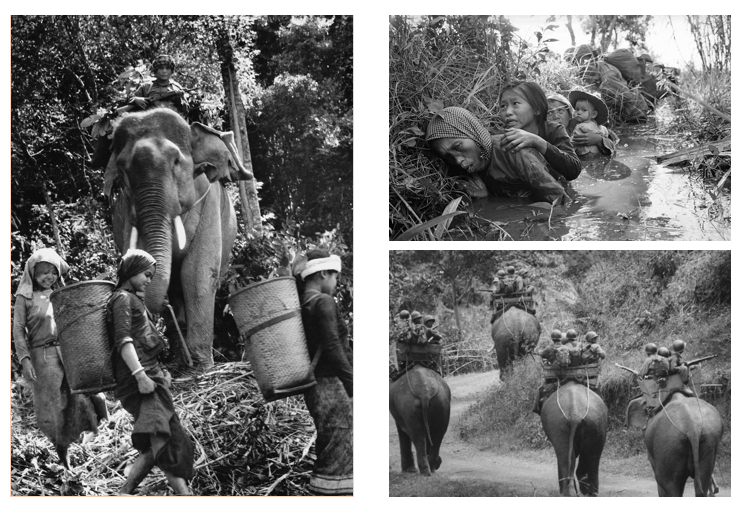 Screen Shot 2017-11-15 at 6.30.47 AM