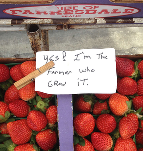 Screen Shot 2022-01-16 at 11.28.14 AM