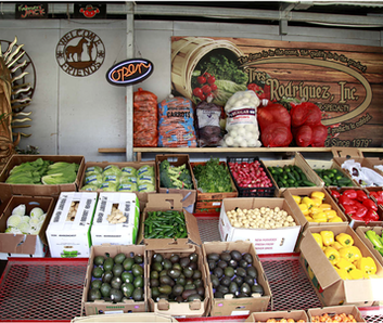 Screen Shot 2022-01-16 at 12.07.24 PM