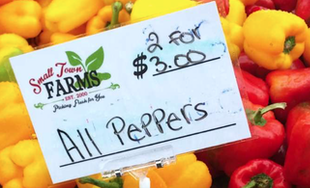 Screen Shot 2022-01-16 at 12.27.38 PM