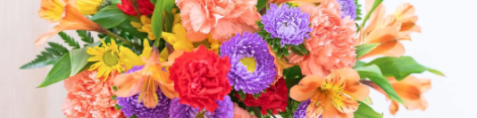 Screen Shot 2022-07-20 at 9.33.11 AM