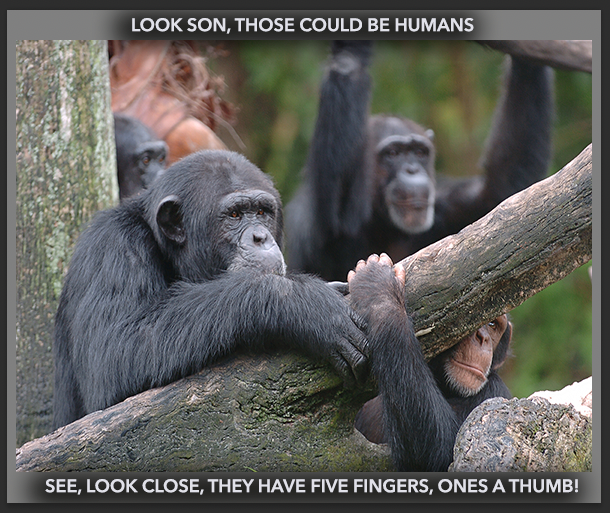 Screen Shot 2022-09-09 at 1.02.14 PM