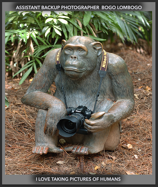 Screen Shot 2022-09-09 at 1.28.15 PM