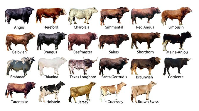 Screen Shot 2022-09-16 at 9.49.04 AM